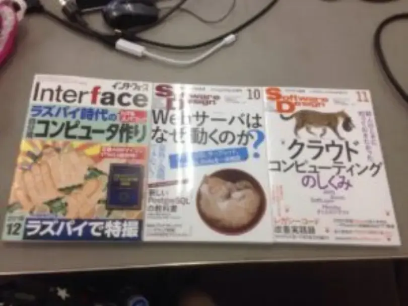 IMG_1786-e1478753197339-300x225.jpg (15.9 kB)